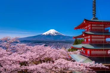 車窓に春風🌸お花見列車】真っ白な富士山と桜並木の競演を楽しむ 富士急行線<大月〜河口湖>(1)