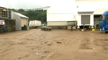 台風12号 鹿児島県本土を横断し熱低へ 線状降水帯おそれなくなる