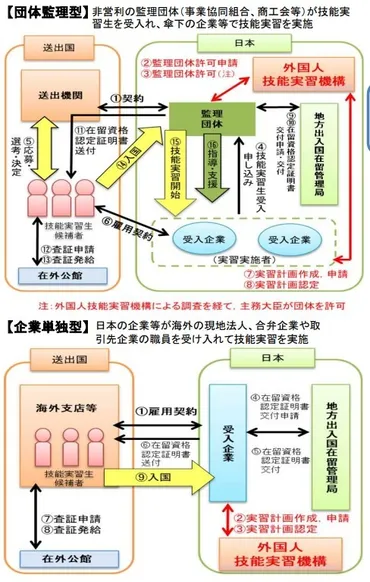廃止決定】技能実習生とは?制度の問題点や受け入れ方法をわかりやすく解説
