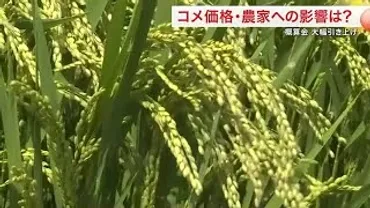 農家は朗報だけど「コメ離れ」懸念も コメ概算金が過去最高価格に 各品種で前年比約1.7倍〈宮城〉