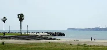 三菱商事連合が洋上風力発電撤退 秋田・千葉沖、再エネ戦略見直し