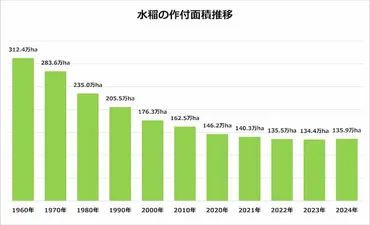 減反政策廃止後の米市場と2025年コメ騒動（原因と対策？）2025年のコメ騒動：複合的な要因と今後の展望