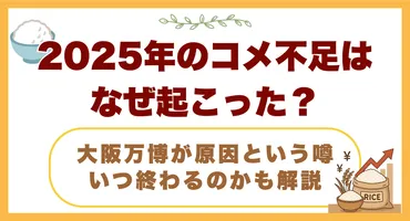 2025年のコメ不足はなぜ起こった？大阪万博が原因という噂・いつ終わるのかも解説 