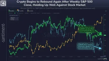 ビットコイン、S&P500との相関性低下か クジラ数は3ヶ月ぶりの高水準