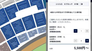 プロ野球「ダイナミックプライシング」価格変動に憤り 空席散見でも「満員御礼」に