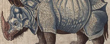 荒俣宏旧蔵 博物誌コレクション 
