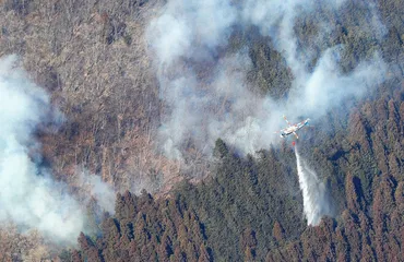山林火災、鎮火への道のり、群馬・徳島での火災は何が問題？（速報）群馬・徳島の山林火災、鎮火の行方は？