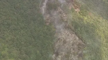 ３日経過も火は収まらず…徳島・板野町で山火事 自衛隊に災害派遣要請 消火活動続く