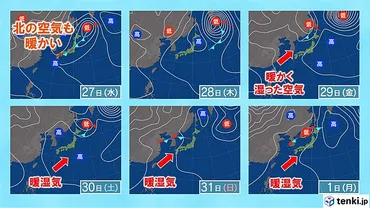 夏本番！熱中症から身を守るには？〜猛暑と対策を徹底解説〜記録的な猛暑！熱中症の脅威と対策