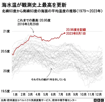 海水温が史上最高を更新、地球環境に厳しい影響 