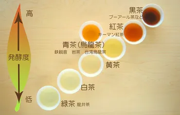 中国茶の世界へようこそ！種類や淹れ方、茶器まで徹底解説？中国茶の種類、淹れ方、茶器、おすすめアイテムをご紹介