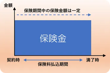 生命保険は掛け捨てがベスト！積み立て型と比較した活用のポイント 