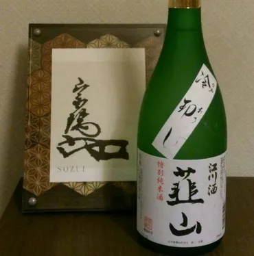 隕石と地球防衛！過去の落下事例から未来の脅威まで徹底解説！(隕石、チェリャビンスク、地球防衛？)隕石の脅威と地球防衛：過去の落下、未来への警鐘