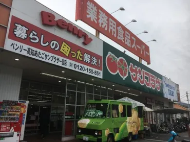 高知県でコストコ商品を買う方法～サンプラザやリカオーでも購入できる！ 