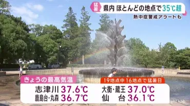 宮城県に熱中症警戒アラート 各地で猛暑日 厳しい暑さに 
