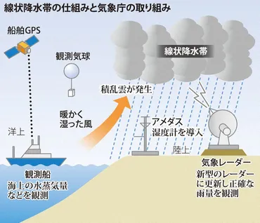 焦点：線状降水帯、海から予測 