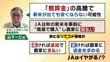 元農水官僚が提言】不足するコメ...実態を知るには『前年の在庫』把握せよ!実は去年夏ごろから40万トン在庫不足?根本的解決には゛事実上の減反政策 ゛転換を【解説】(MBS特集)