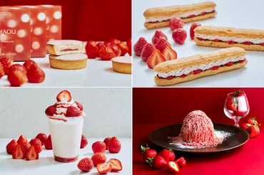 鎌倉のアロマ生チョコレート専門店「メゾンカカオ」福岡あまおういちごを使用した期間限定スイーツ 