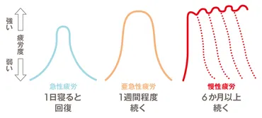 そもそも疲労とは何か? 疲労のタイプと仕組みを学ぶ