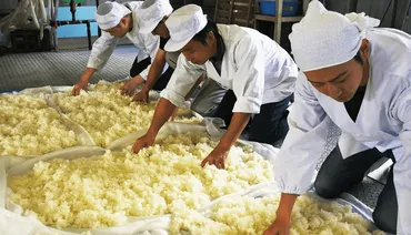 理想を求めて酒蔵を買収した全国最年少蔵元!─佐渡「天領盃酒造」に変革をもたらす若い力