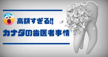 カナダで歯医者に行くってホントに高いの？😱カナダの歯科事情とは！？