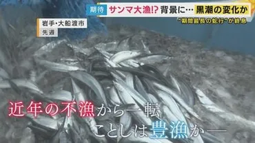 黒潮大蛇行」収束で明暗 サンマは豊漁で半額!カツオは最盛期の10分の1に減少 専門家「大蛇行再開の可能性も」