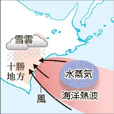 2月の帯広・大雪の原因は 温暖な海流「黒潮続流」の蛇行が影響 北大などの研究チームが分析:北海道新聞デジタル