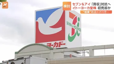 セブン&アイ イトーヨーカ堂などスーパー事業の株式一部売却を検討