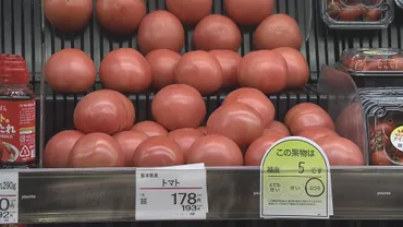 夏野菜価格高騰の現状と対策：猛暑と高騰続く野菜、食卓への影響は？記録的な猛暑が夏野菜価格を押し上げ、高騰に対する対策を紹介