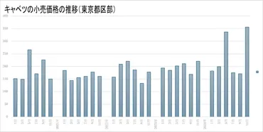 キャベツ高騰!背景と今後の見通し