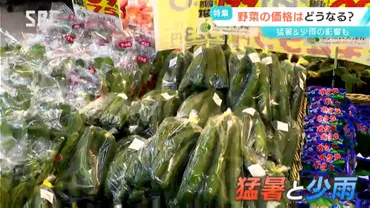 猛暑&少雨 どうなる?野菜の価格 今一番価格の変動が大きいのは…キュウリとトマト 価格高騰が続くのはサニーレタス お買い得なのは?