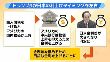 日銀の金融政策、トランプ関税の影響は？今後の利上げは？（日本銀行、FRB、経済）日銀の金融政策決定会合と、トランプ前大統領の関税政策による影響