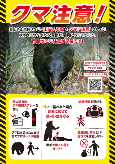 魚沼地域 ブナ凶作・ミズナラ不作 クマ人里への出没に注意