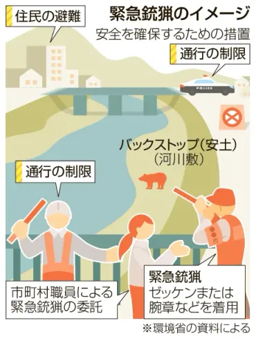 市街地でクマに発砲、判断は市町村頼み 改正鳥獣保護法指針 避難誘導や補償も…役割「膨大」:北海道新聞デジタル