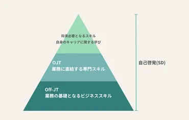 OFF JTとは?OJTとの違いやメリット・デメリット、活用方法を解説
