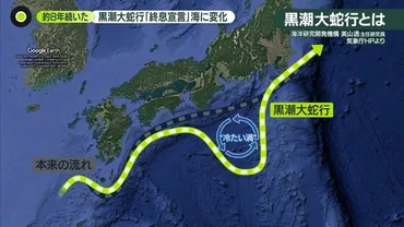 約8年続いた「黒潮大蛇行」に終息宣言 東京湾のサンゴ、一斉産卵も…海に変化(日テレNEWS NNN)