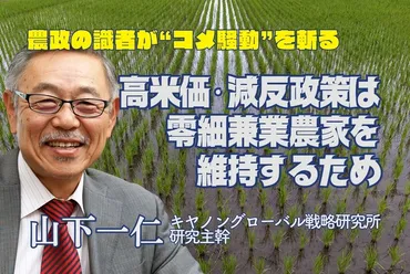 令和のコメ騒動:高米価・減反政策は零細兼業農家を維持するため 山下一仁