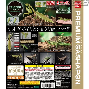 リアルな形状・動きを追求し可動フィギュア化!オオカマキリとショウリョウバッタを収録したガシャポン「いきもの大図鑑アドバンス」が登場!