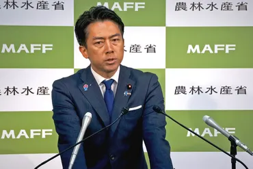 閣内不一致? 石破首相はコメ増産表明も小泉大臣は減反政策1年継続容認