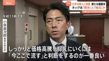 備蓄米放出に踏み切った小泉農水大臣「じゃぶじゃぶ作戦」狙い通りになるか 精米能力や物流に課題も