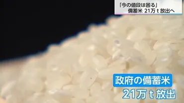 今の値段で続くと、米を食べなくなるだろう」江藤農相が備蓄