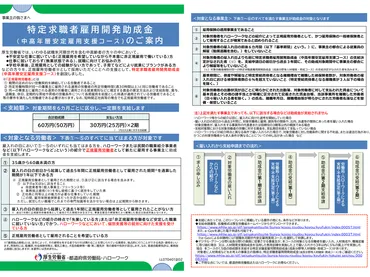 特定求職者雇用開発助成金、就職氷河期世代へ中高年層安定雇用支援コース