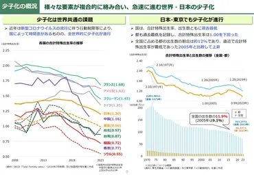 少子化対策の推進に向けた論点整理 2024