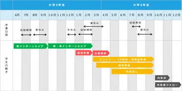 新卒採用のスケジュール策定のポイント