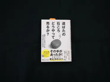 『道ばたの石ころどうやって売るか？』視点転換でビジネスチャンスを掴む思考法とは？野呂エイシロウ氏の『道ばたの石ころどうやって売るか？』の魅力