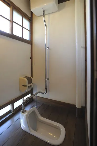 現代のトイレ志向をつくった技術改革│31号 脱 水(みず)まわり:機関誌『水の文化』│ミツカン 水の文化センター