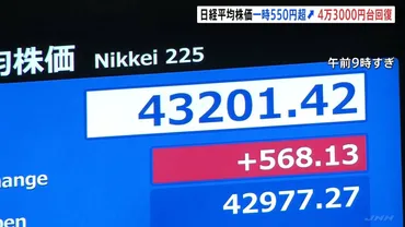 日経平均 一時550円以上値上がり 4万3000円台も回復 FRB議長が゛利下げ示唆゛でNYダウ上昇受け