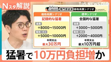 記録的な猛暑と家計への影響？食費と光熱費の値上げが止まらない！猛暑インフレの現状と対策