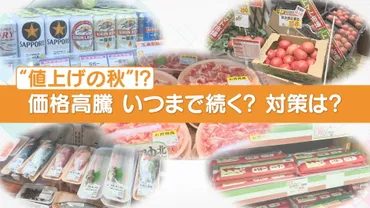記録的な値上げ」で私たちの生活はどう変わる? 原油高、円安、気候変動…生鮮食品も加工食品も値上げラッシュ お酒は9月中のまとめ買いがおすすめ