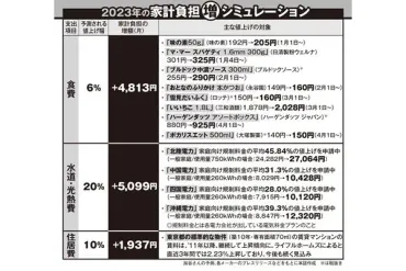 政府の電気代支援策も焼石に水…2023年゛値上げラッシュ゛で家計負担年間が14万2,188円増に(2ページ目)